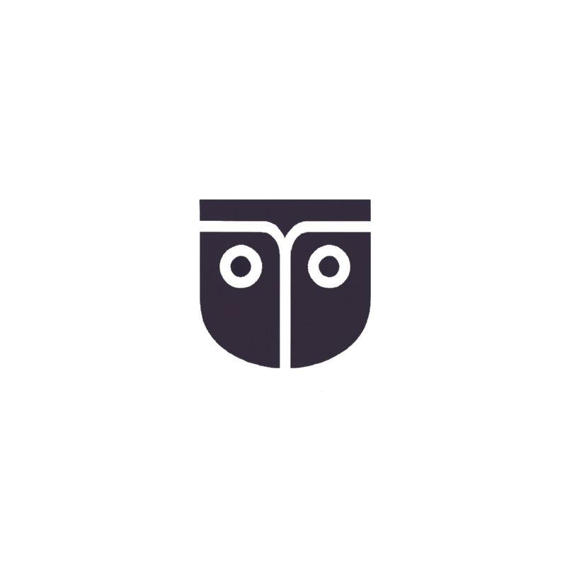 CASI Logo